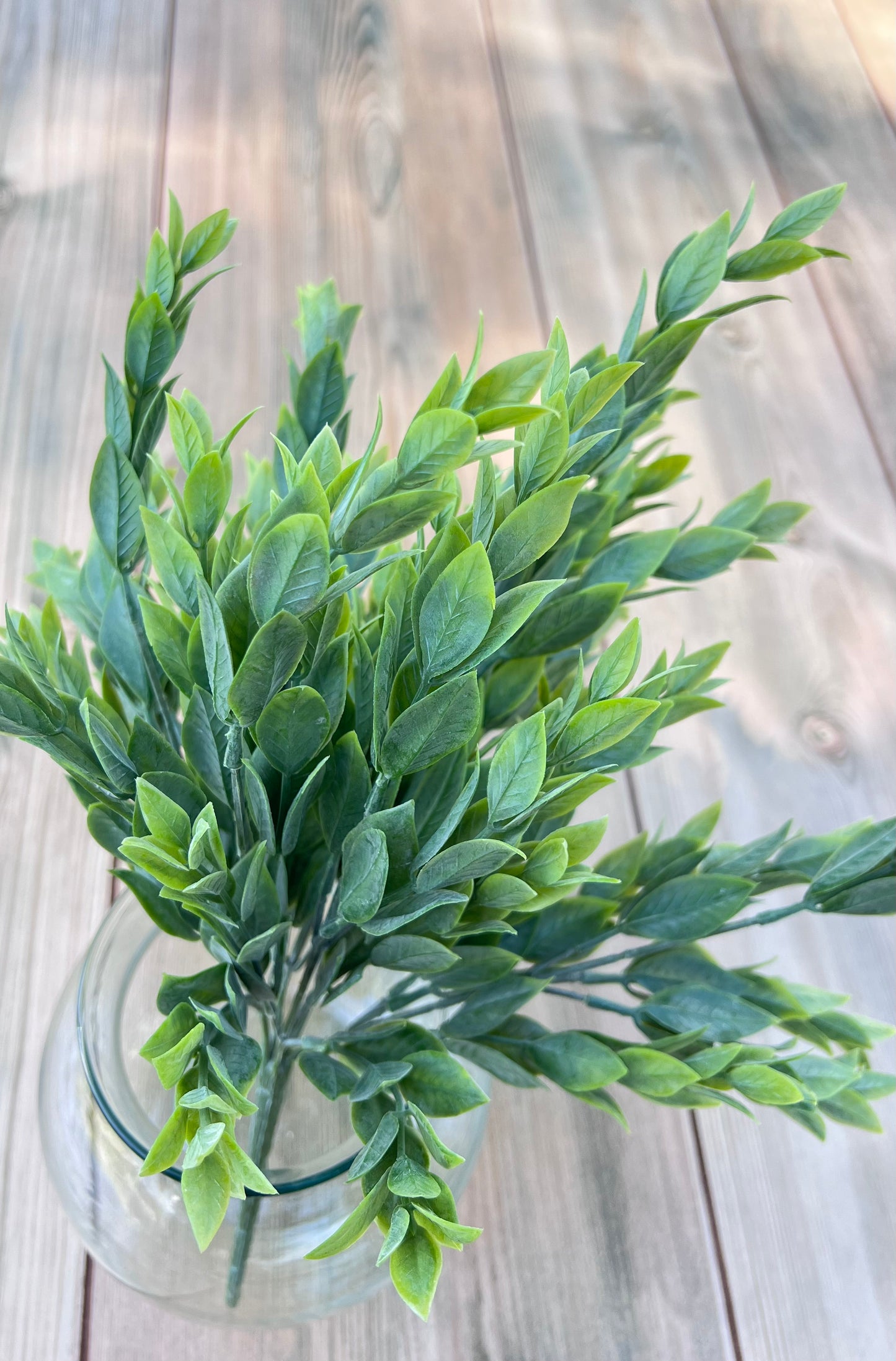 Alternate angle of the Italian Ruscus Bush in a glass vase, illustration natural movement and layering potential