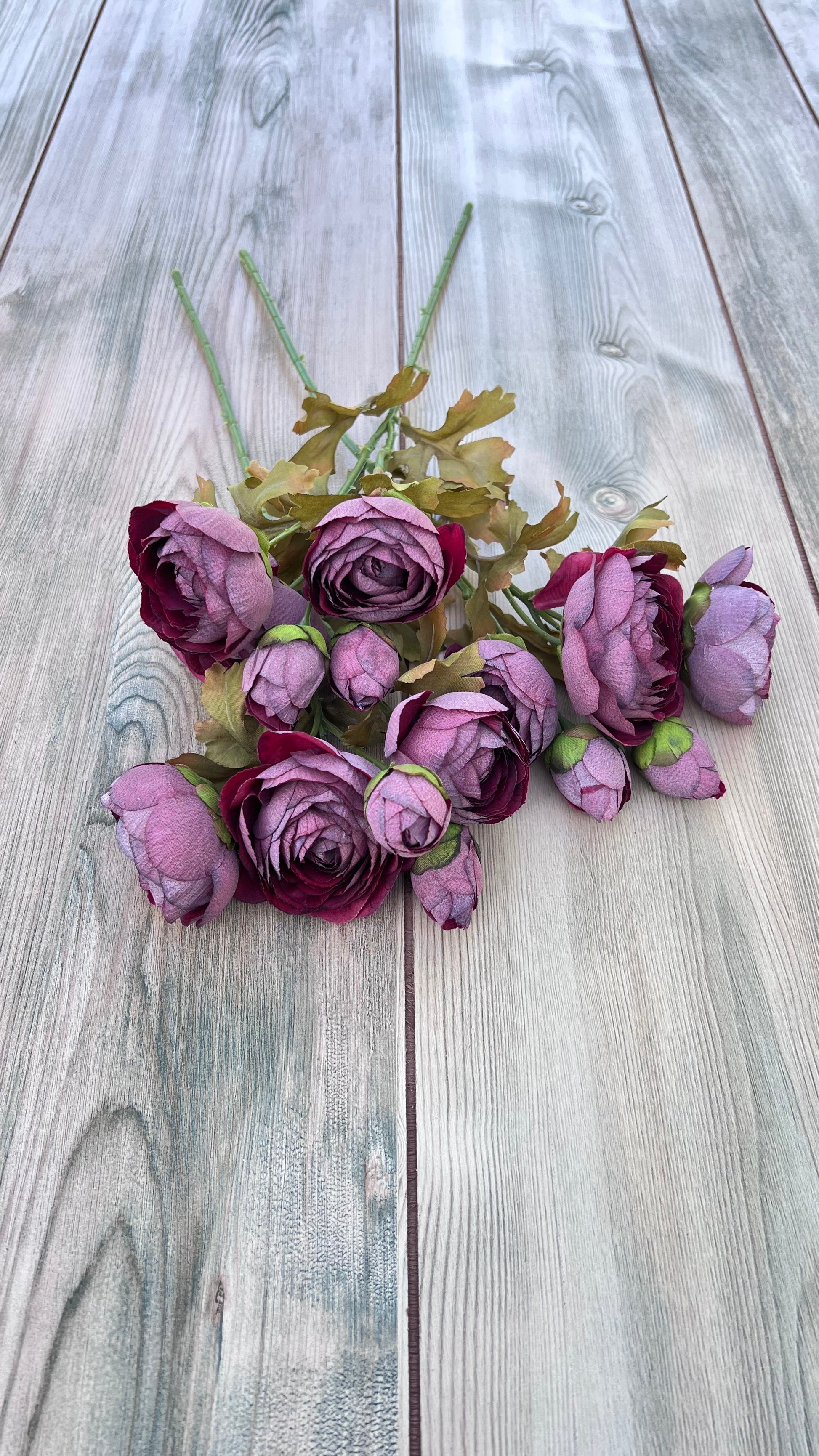 Ranunculus Bundle in Burgundy unbound showcasing visible stem length and naturally layered blooms.