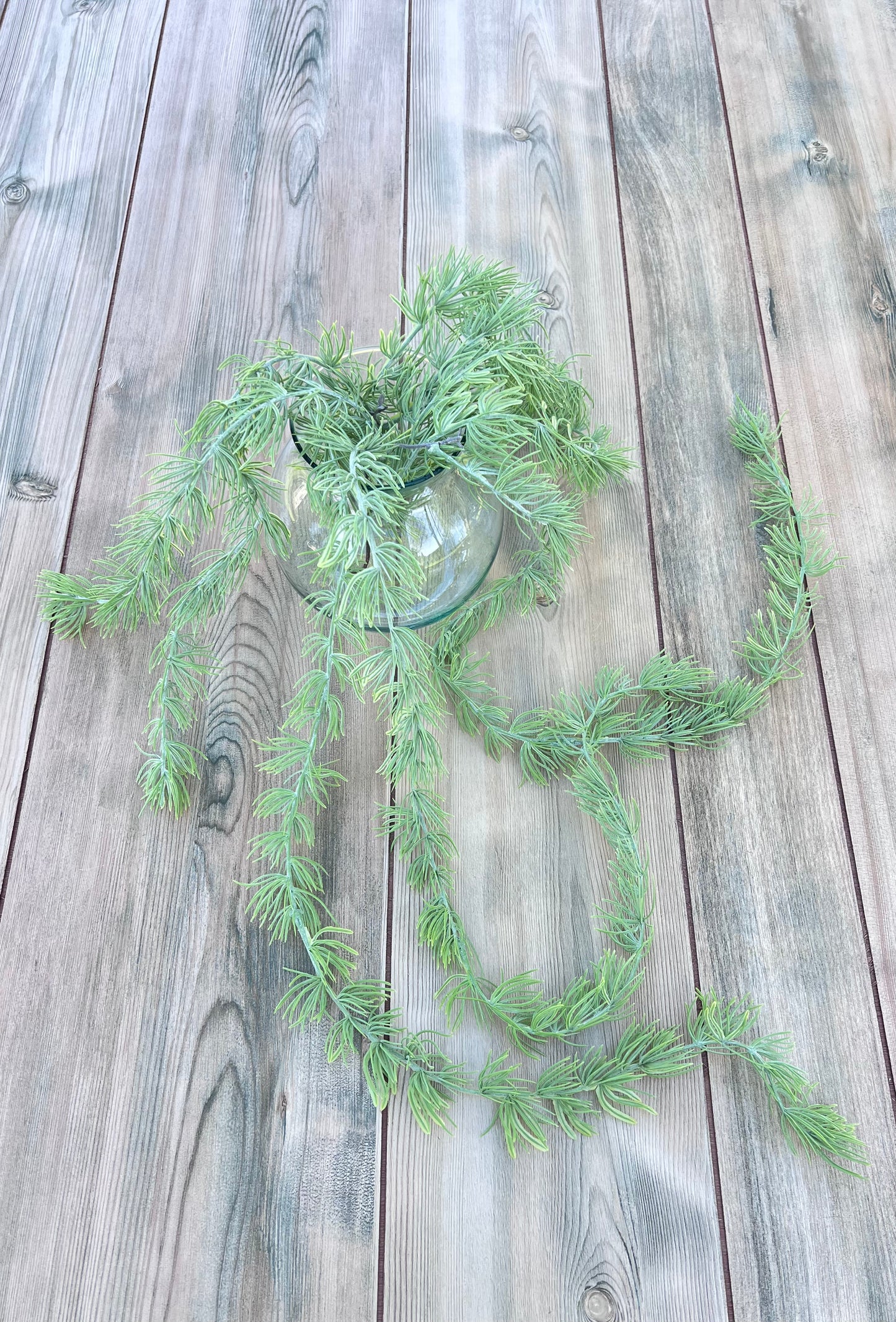 Alternate angle of our Hanging Cluster Vine displaying the trailing movement, cascading form, and soft needle-like foliage
