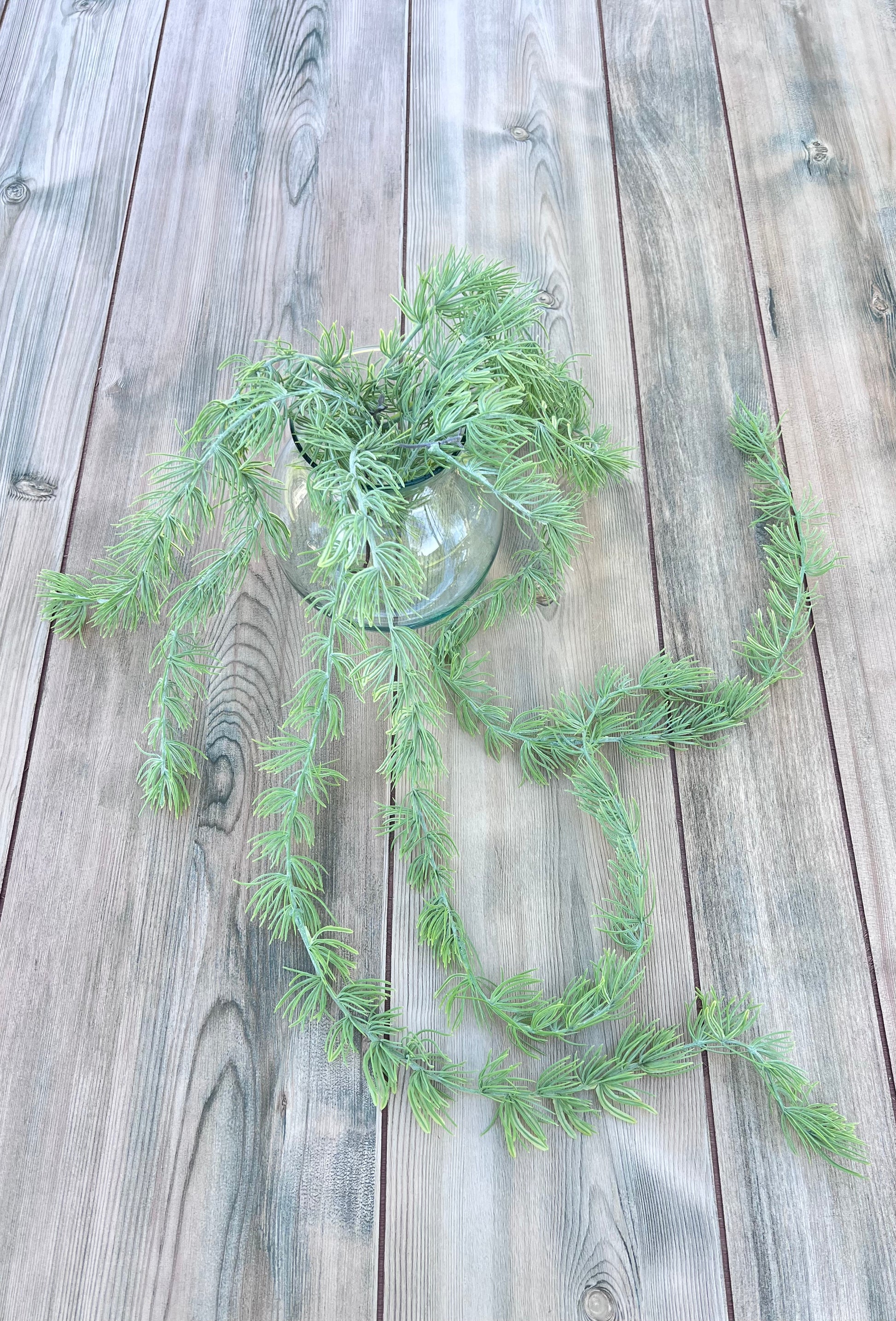 Alternate angle of our Hanging Cluster Vine displaying the trailing movement, cascading form, and soft needle-like foliage