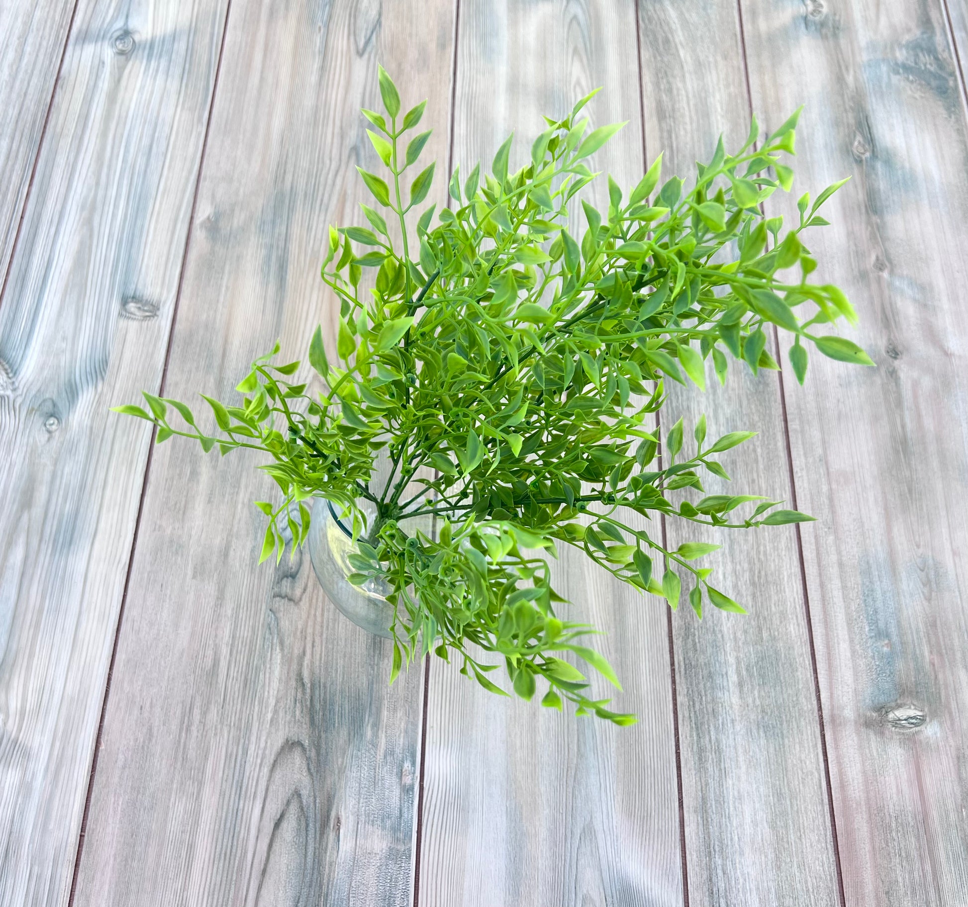 Alternate view of our Smilax Bush highlighting natural movement and layered foliage