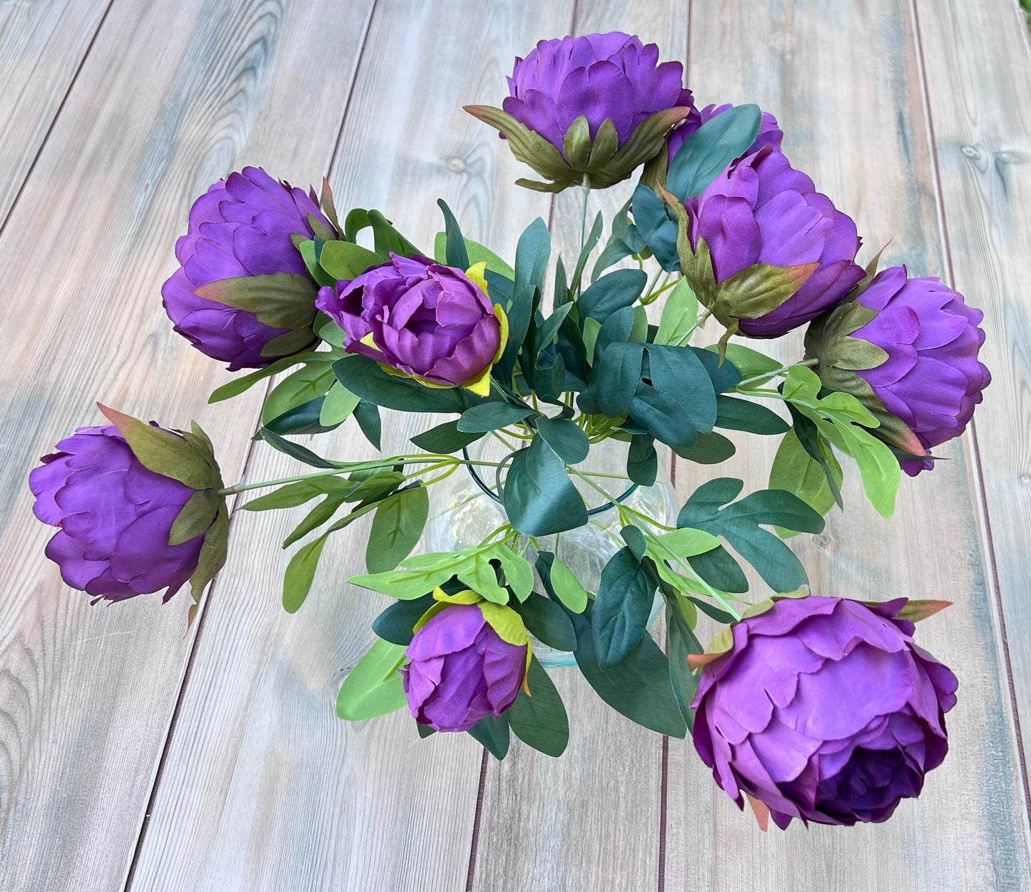 Peony Bush- Purple