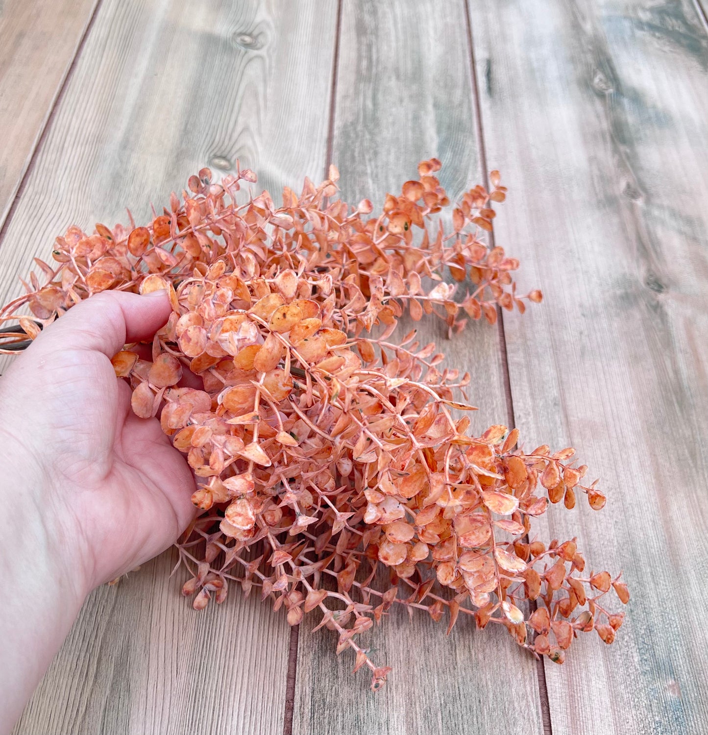 Apricot Eucalyptus Bundle shown in hand for scale and size reference.