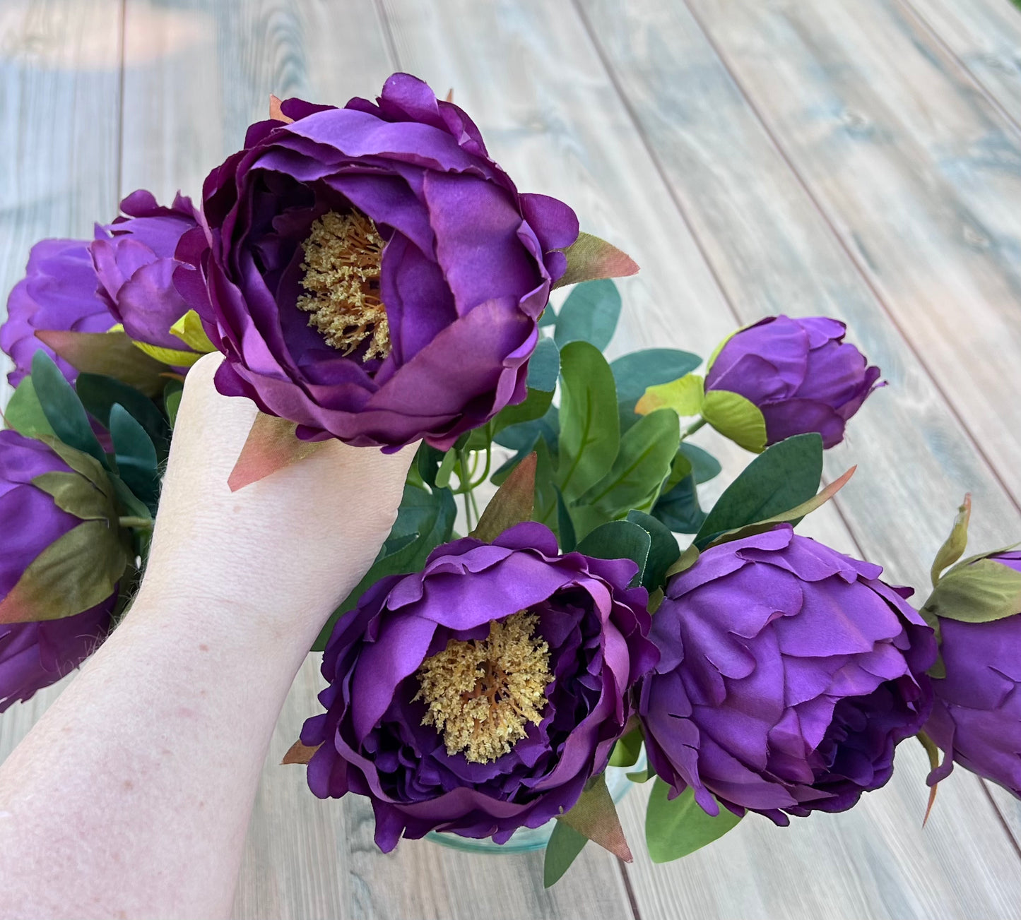 Peony Bush- Purple