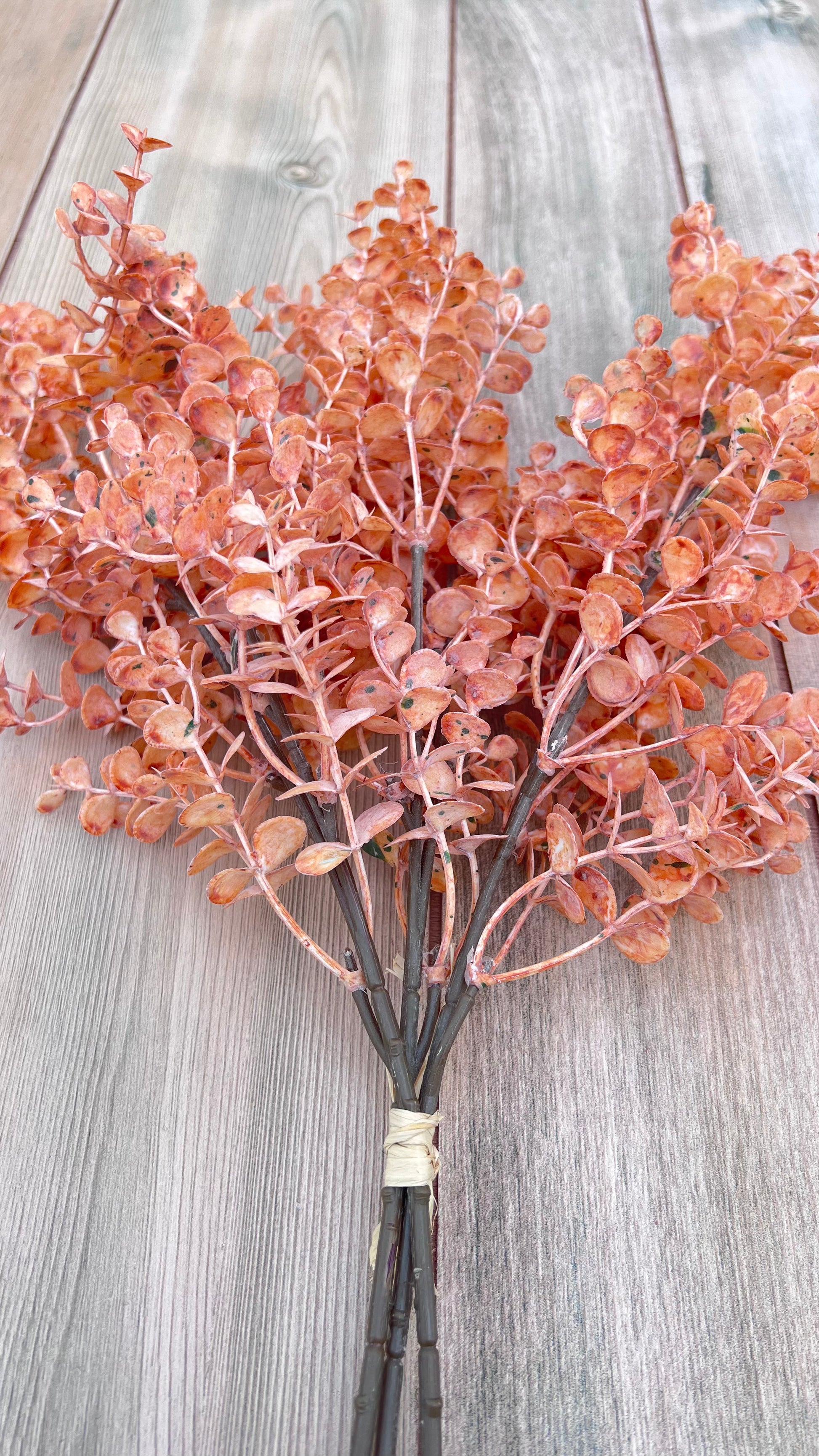 Structural view of the Apricot Eucalyptus Bundle revealing branching nature and open foliage distribution
