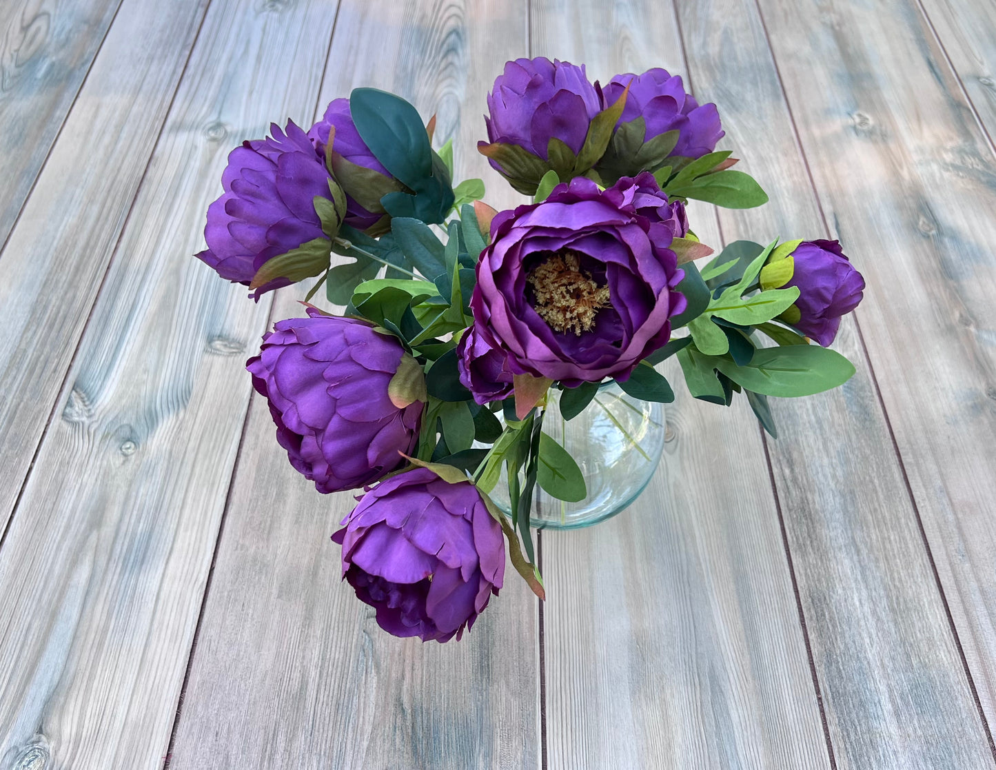 Peony Bush- Purple