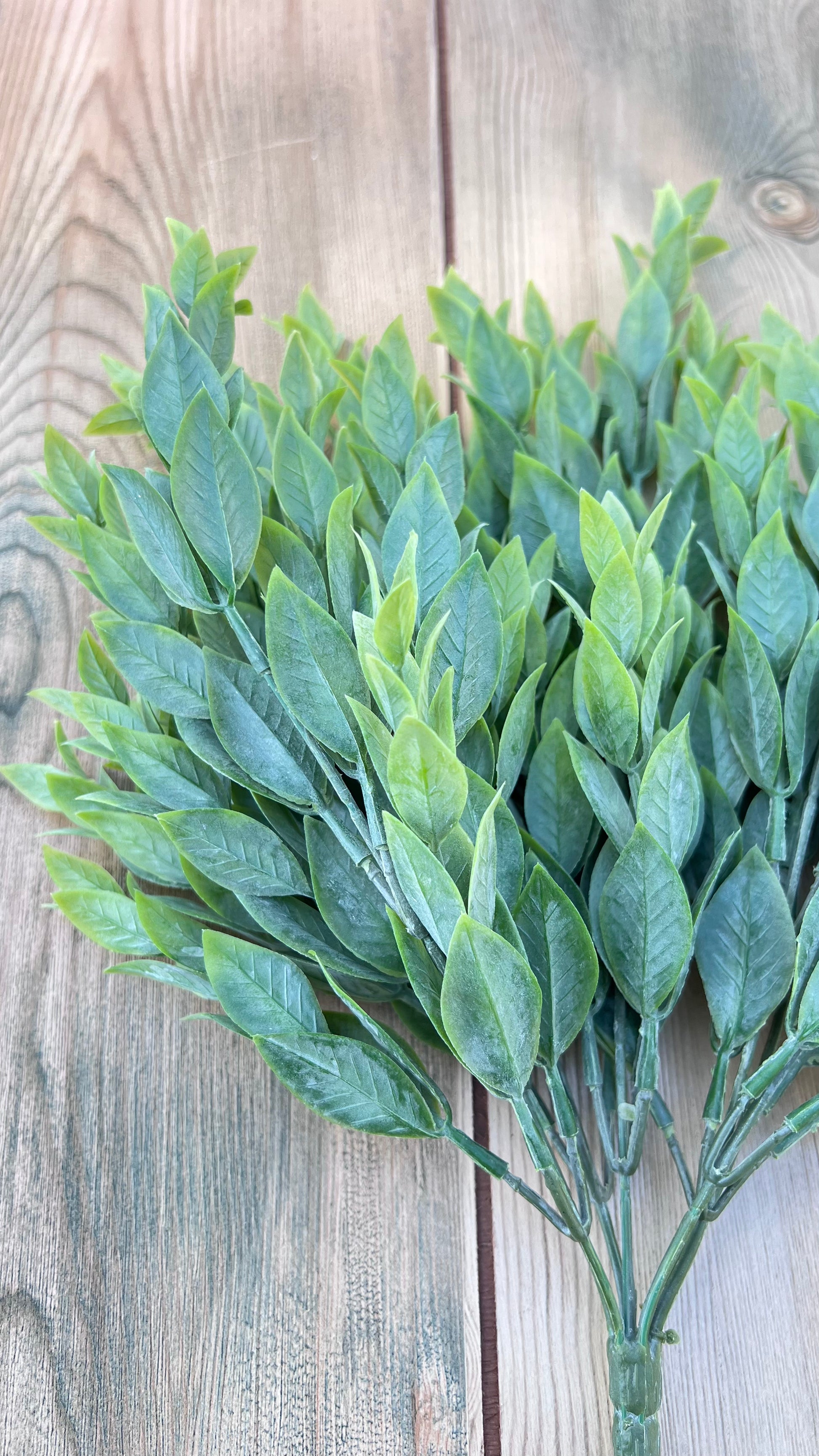 Italian Ruscus Bush showing stem architecture and branching construction that creates layered fullness throughout a design