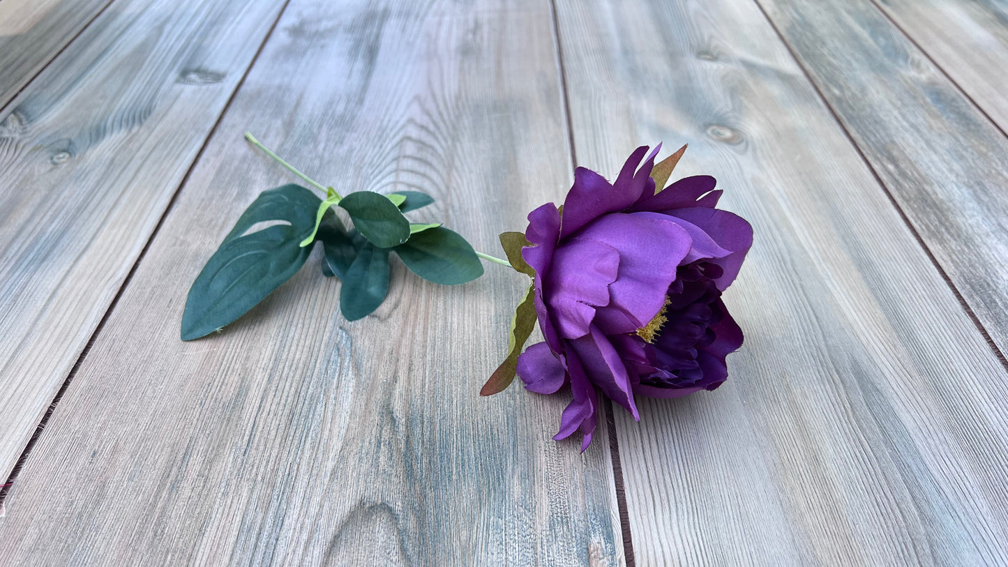 Peony Bush- Purple