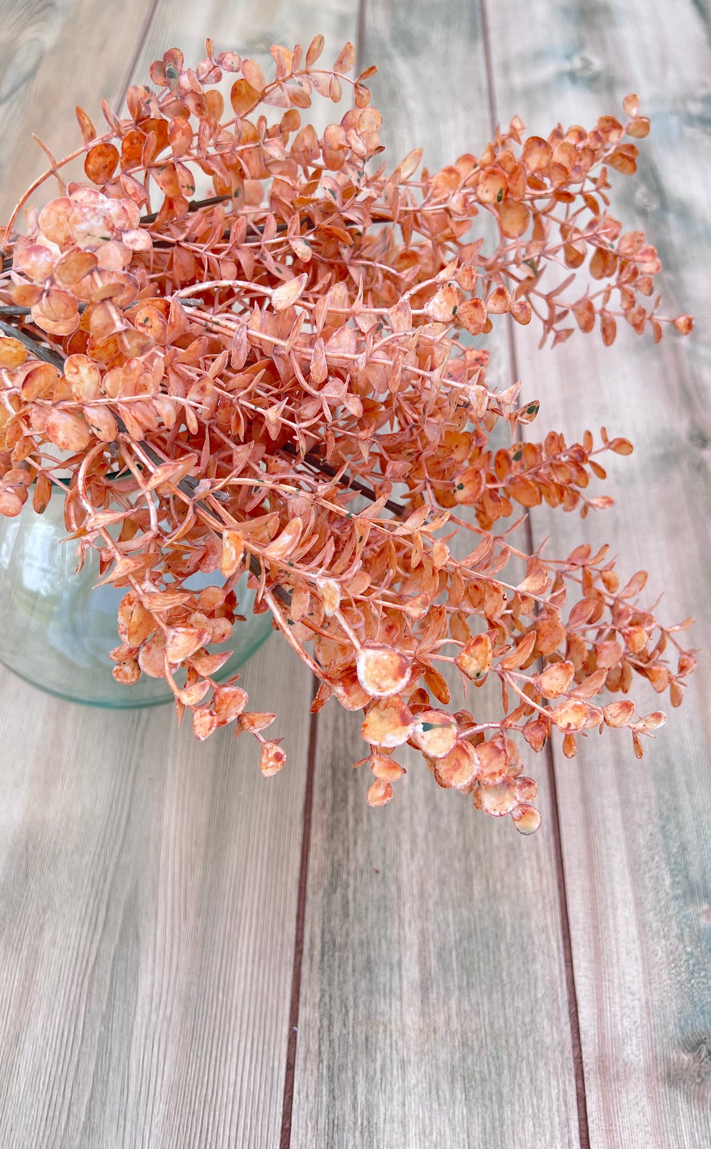 Close-up botanical detail of the Apricot Eucalyptus foliage with naturally weathered coloration