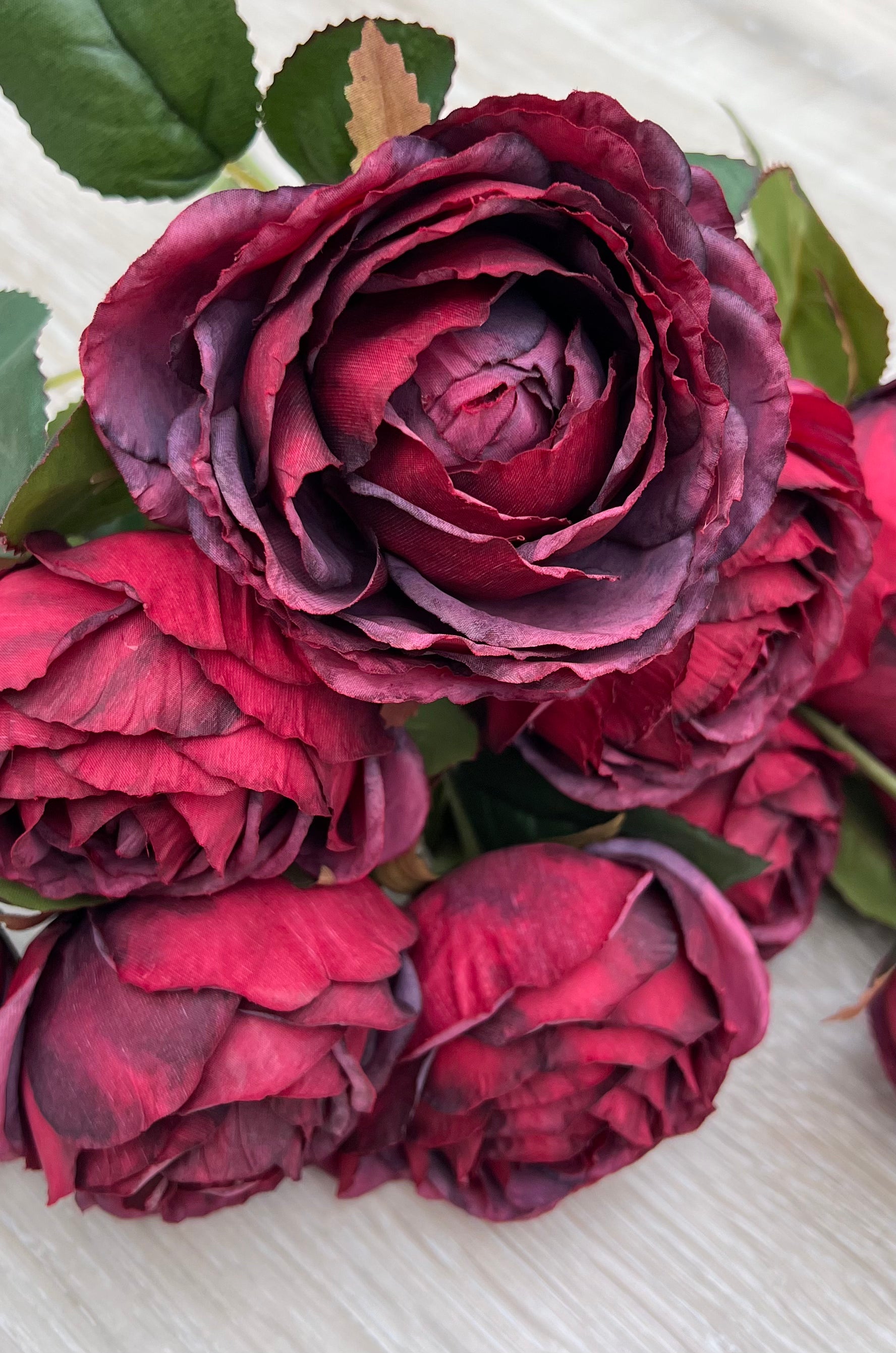 Botanical detail of Cabernet cabbage rose petals and realistic leaf construction