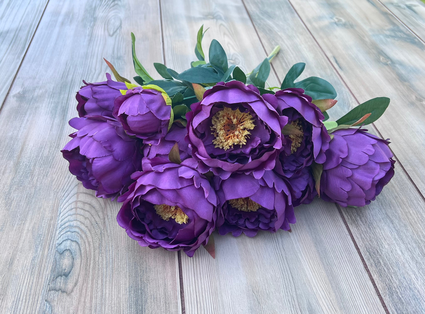 Peony Bush- Purple