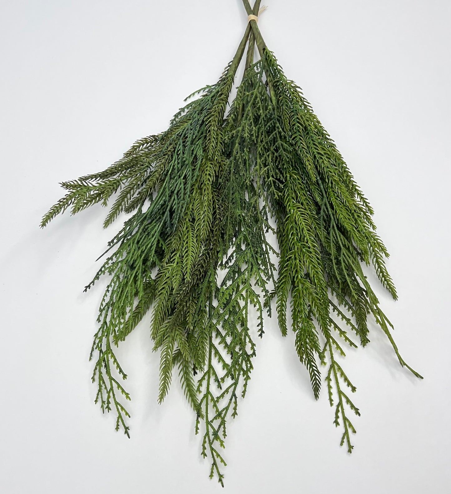 Norfolk Pine and Cedar Bundle- Soft Touch