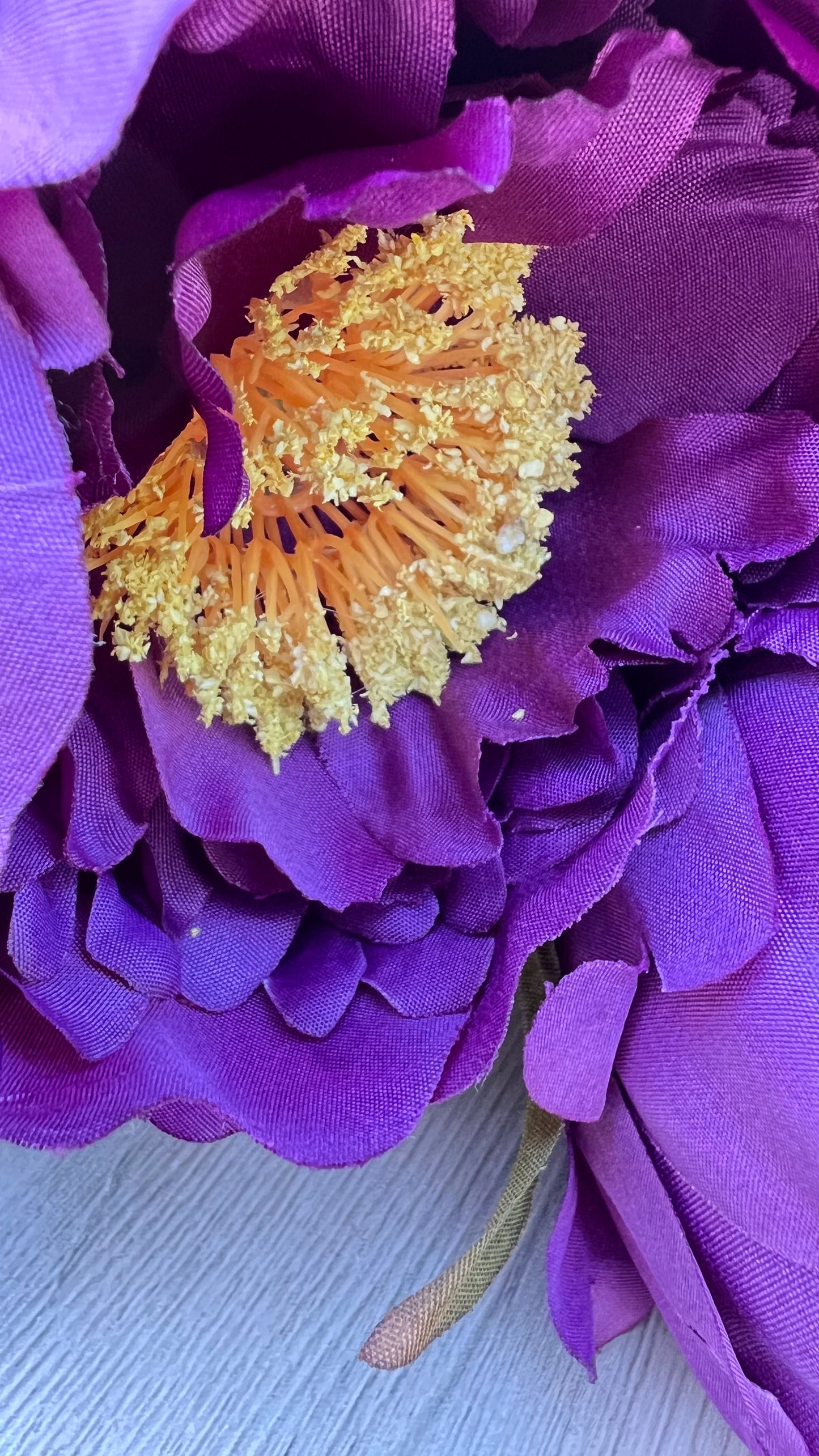 Peony Bush- Purple