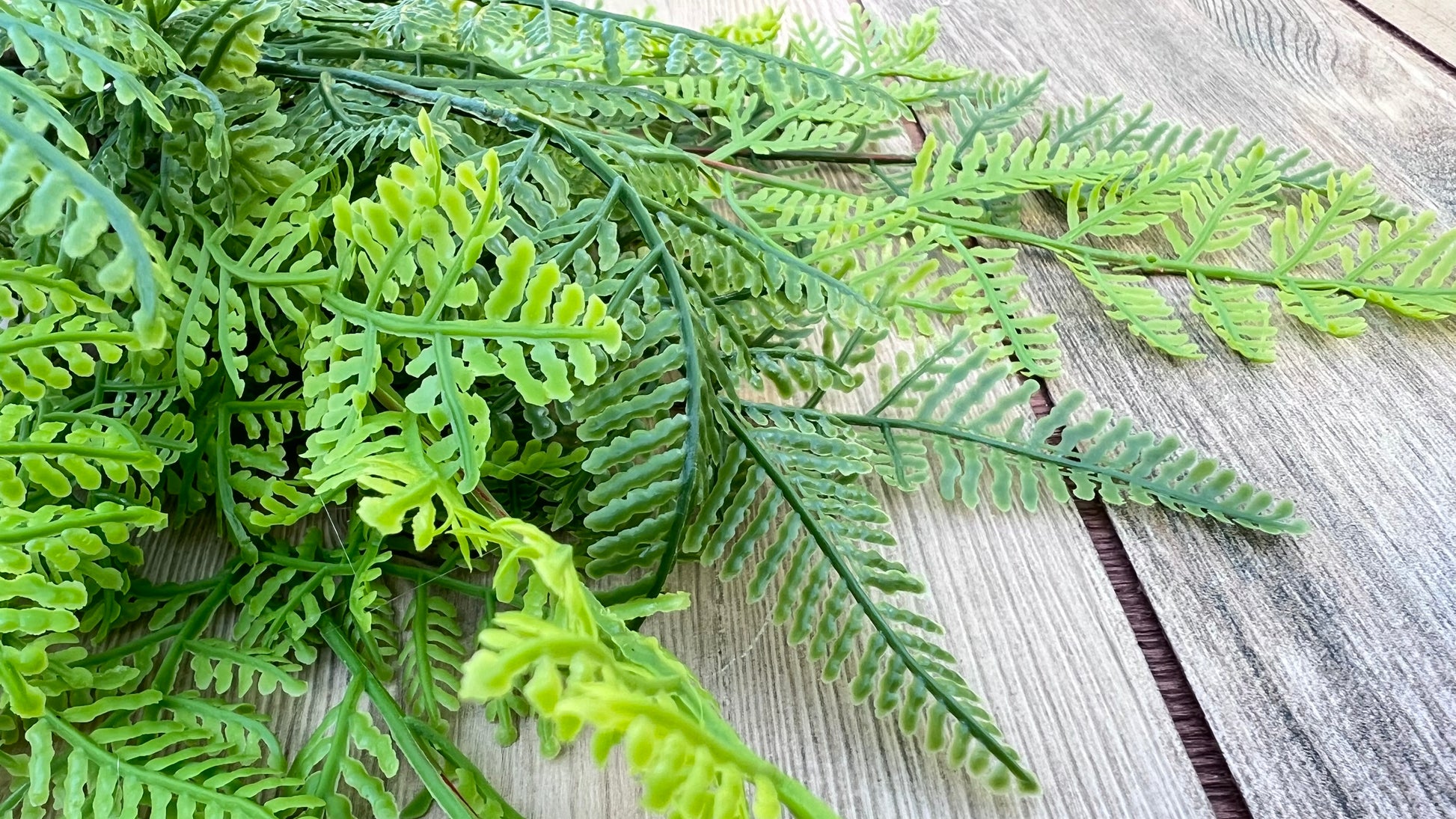 Close up detail of our Leather Leaf Fern bundle showing layered foliage and realistic surface texture