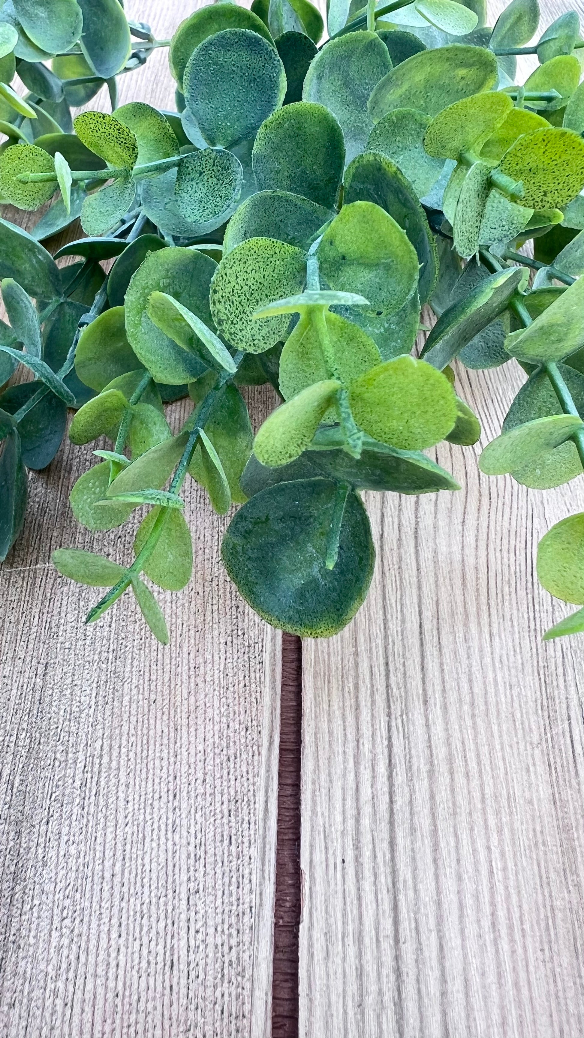 Textural detailing of the Spring Green Eucalyptus Bush showing realistic leaf finish and surface variation