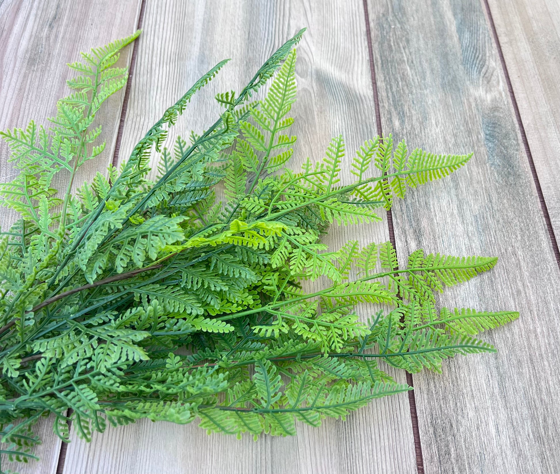 Color detail of the Leather Leaf Fern bundle featuring medium green foliage with fresh light green foliage that represents new growth