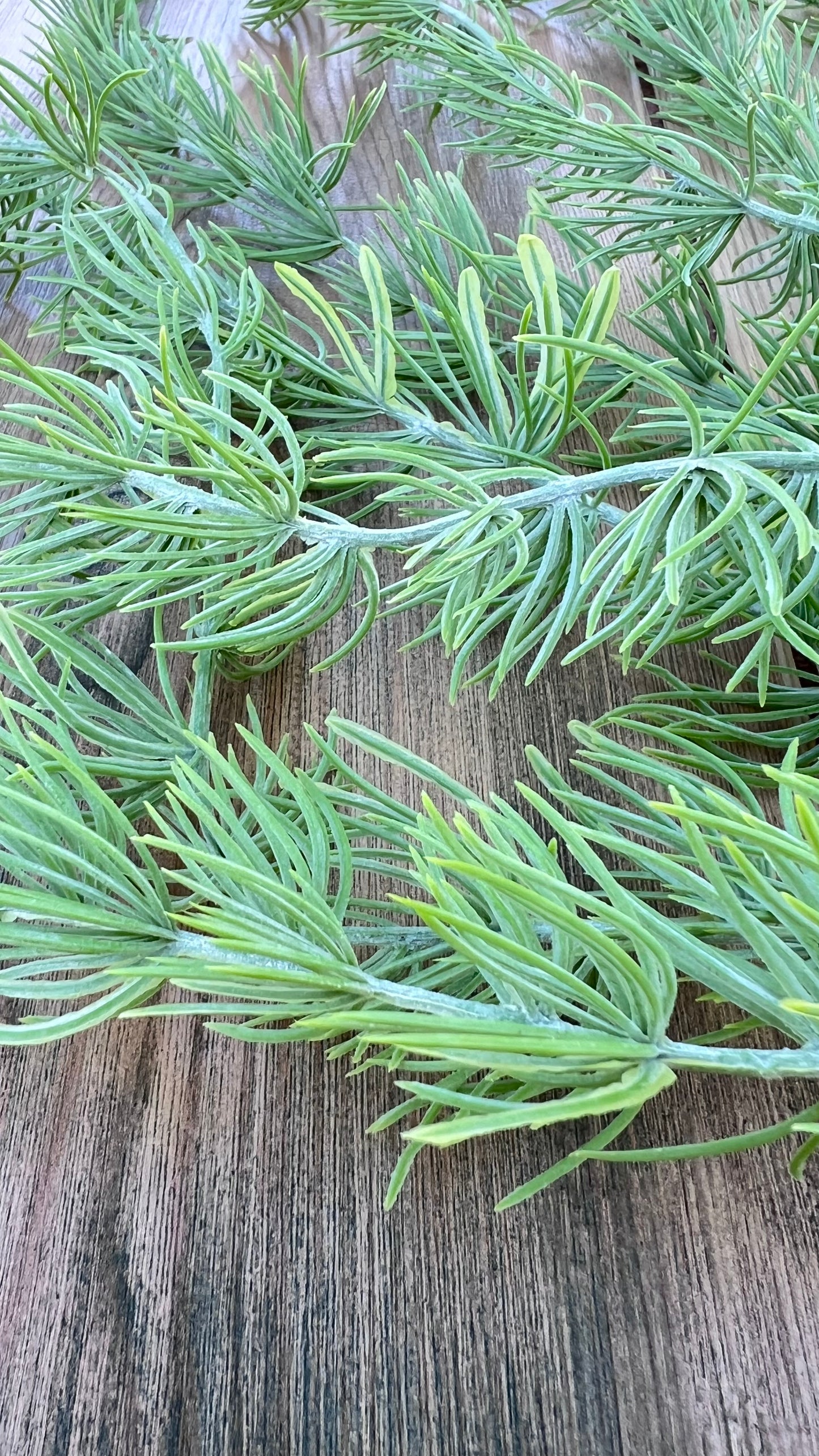 Color detail of the Hanging Cluster Vine displaying soft sage tones accented with subtle yellow-green highights