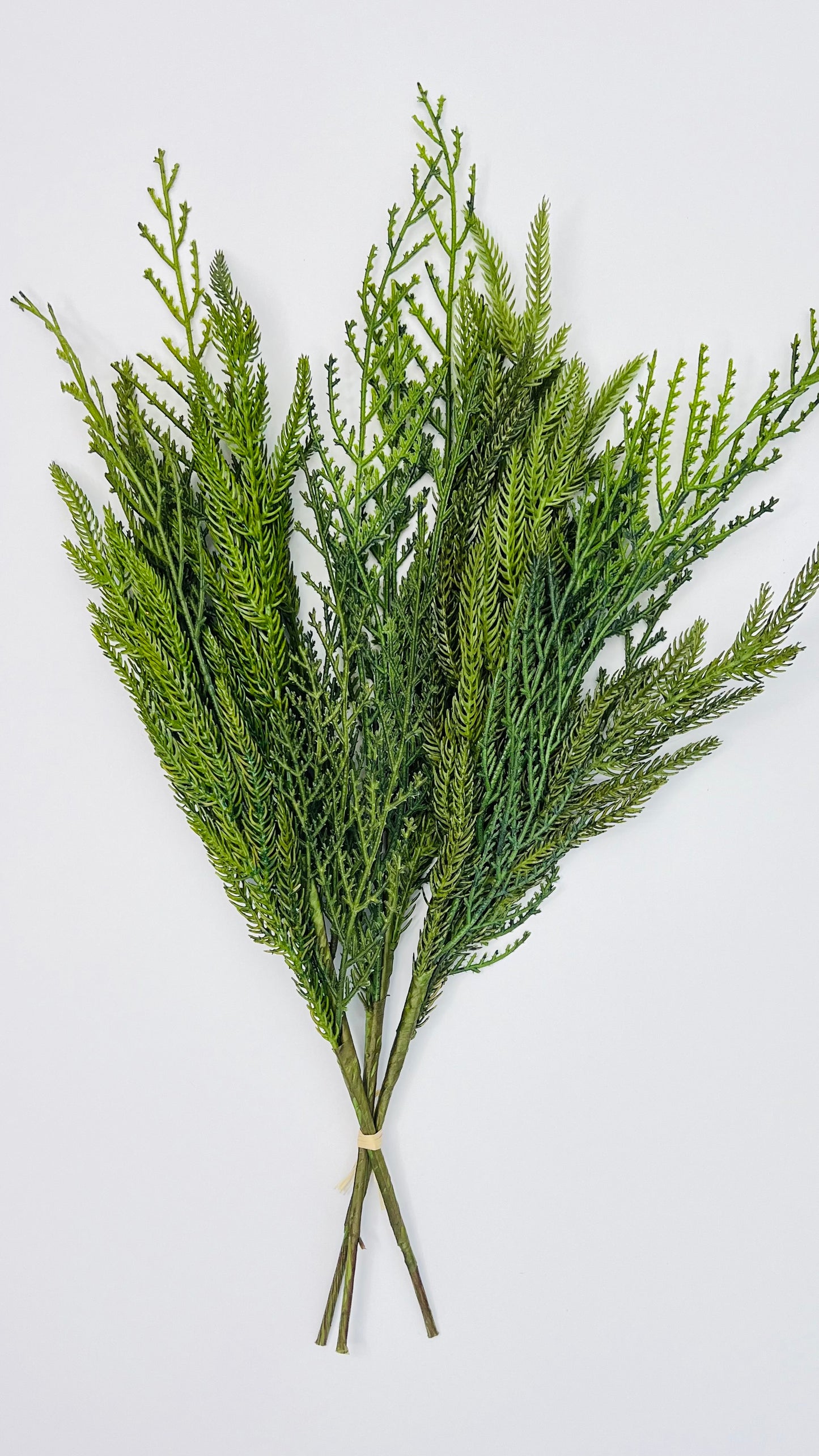 Norfolk Pine and Cedar Bundle- Soft Touch