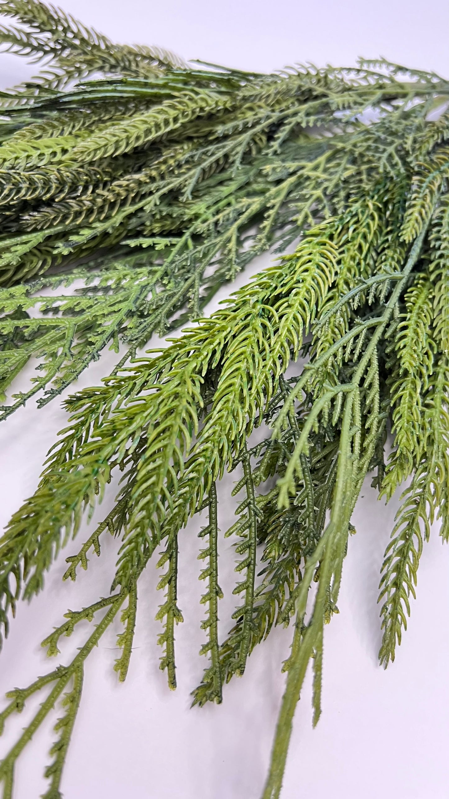 Norfolk Pine and Cedar Bundle- Soft Touch