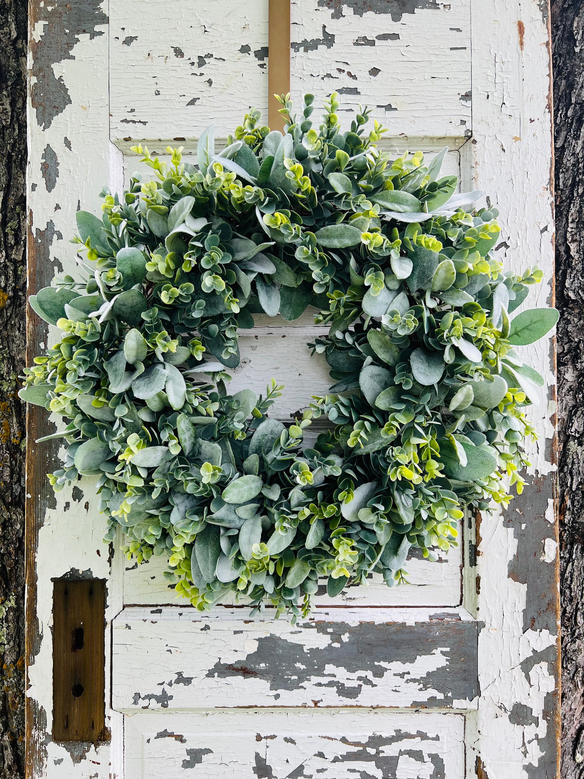 Morning Dawn botanical greenery wreath styled on a rustic weathered door featuring layered eucalyptus and soft lamb's ear greenery | Gardenbug Designs