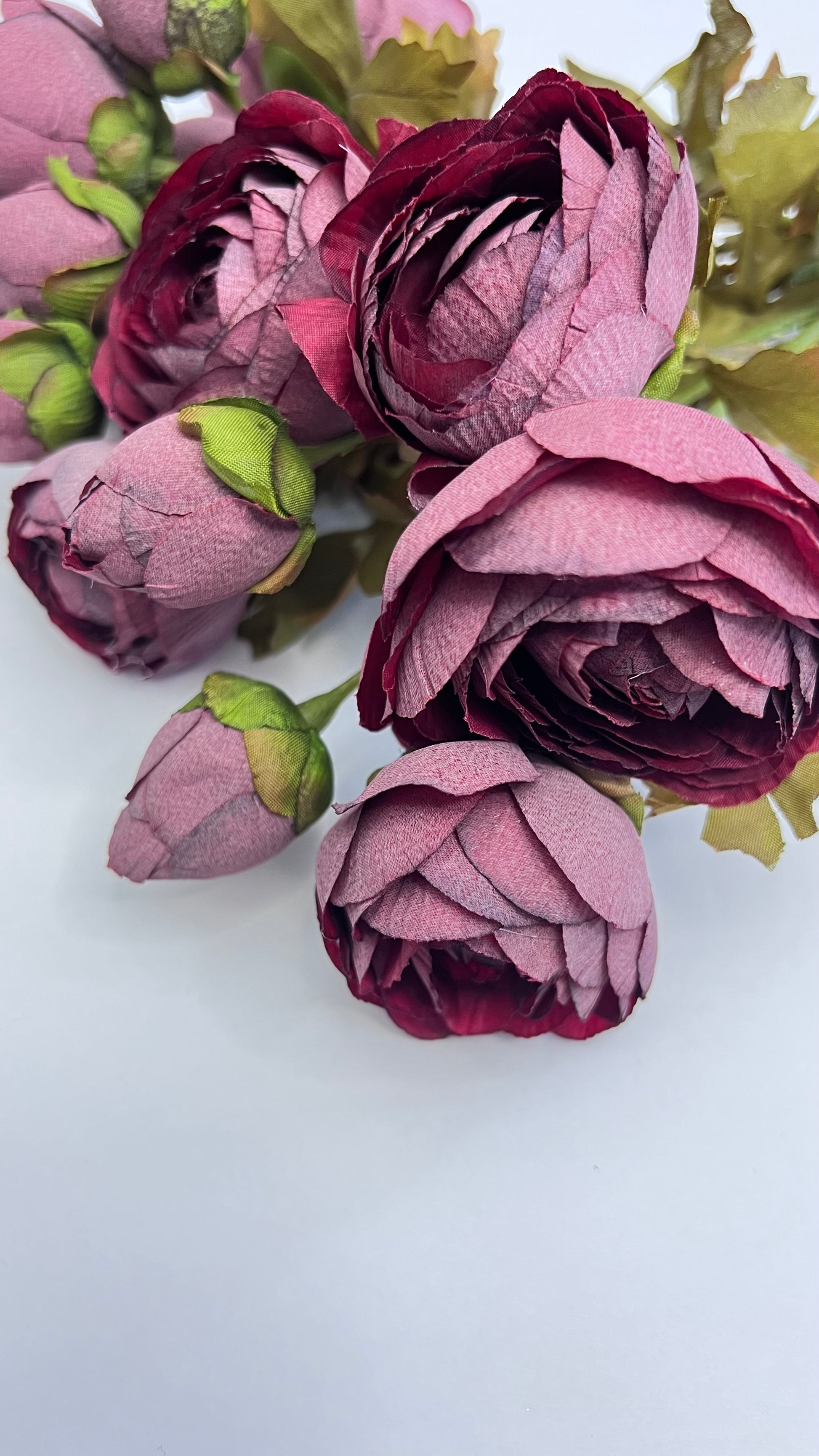 Angled view of burgundy ranunculus blooms and buds showing petal layering, soft structure, and natural variation
