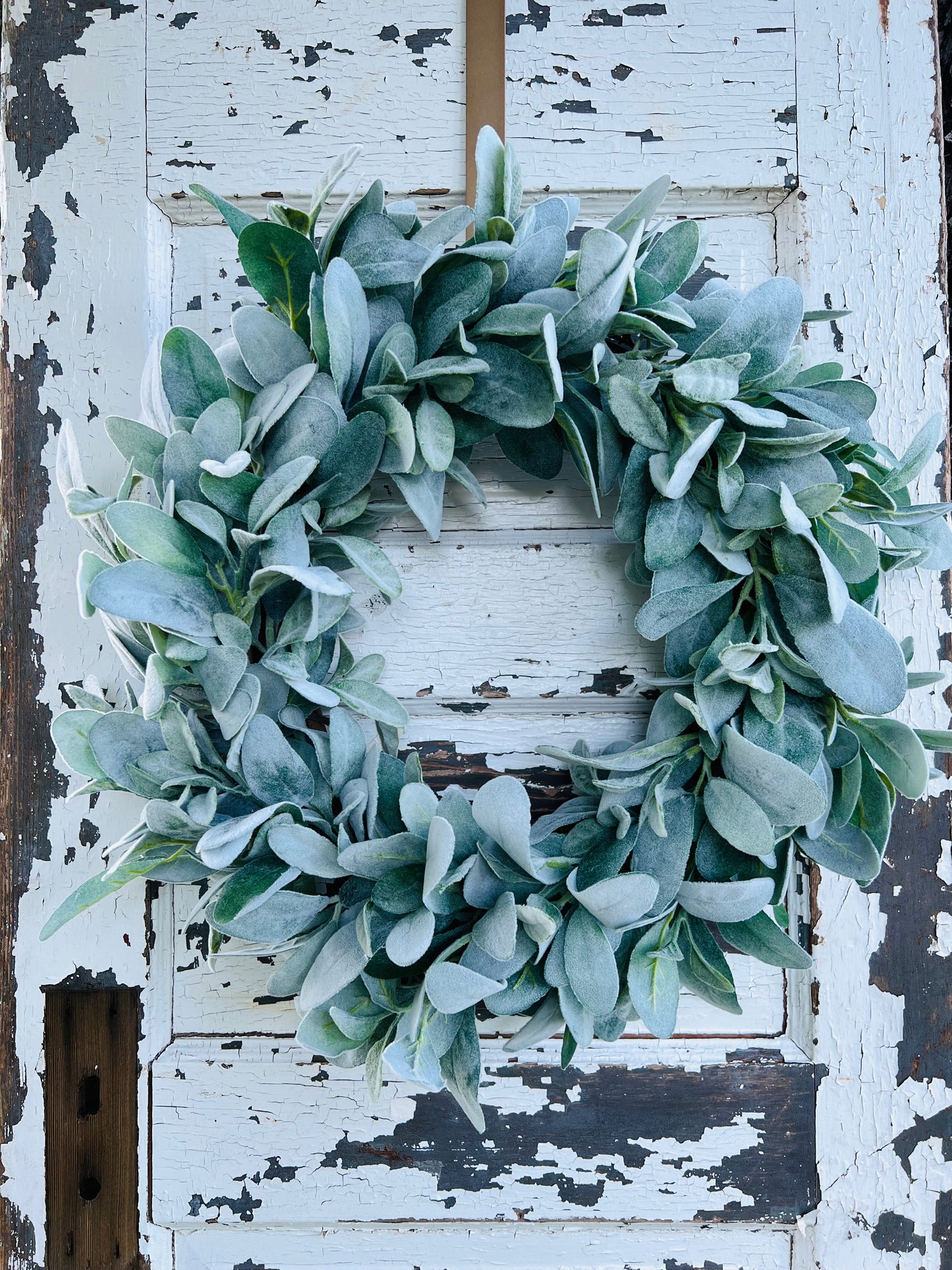Silver Meadow lamb's ear wreath by Gardenbug Designs featuring realistic  lamb's ear foliage arranged in a natural layered composition and styled on a rustic wooden door